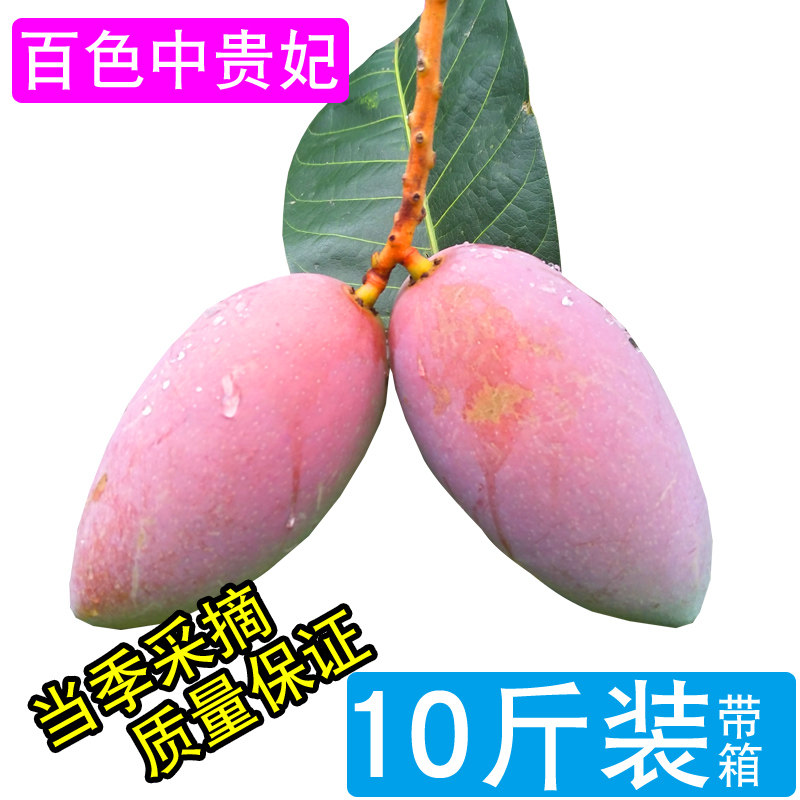 广西百色贵妃芒新鲜包邮10斤带箱多汁芒果红金龙特甜薄皮特产水果在类目 水产肉类/新鲜蔬果/熟食, 新鲜水果, 芒果中 - 来自Buy2taobao.com提供专业的淘宝代购服务