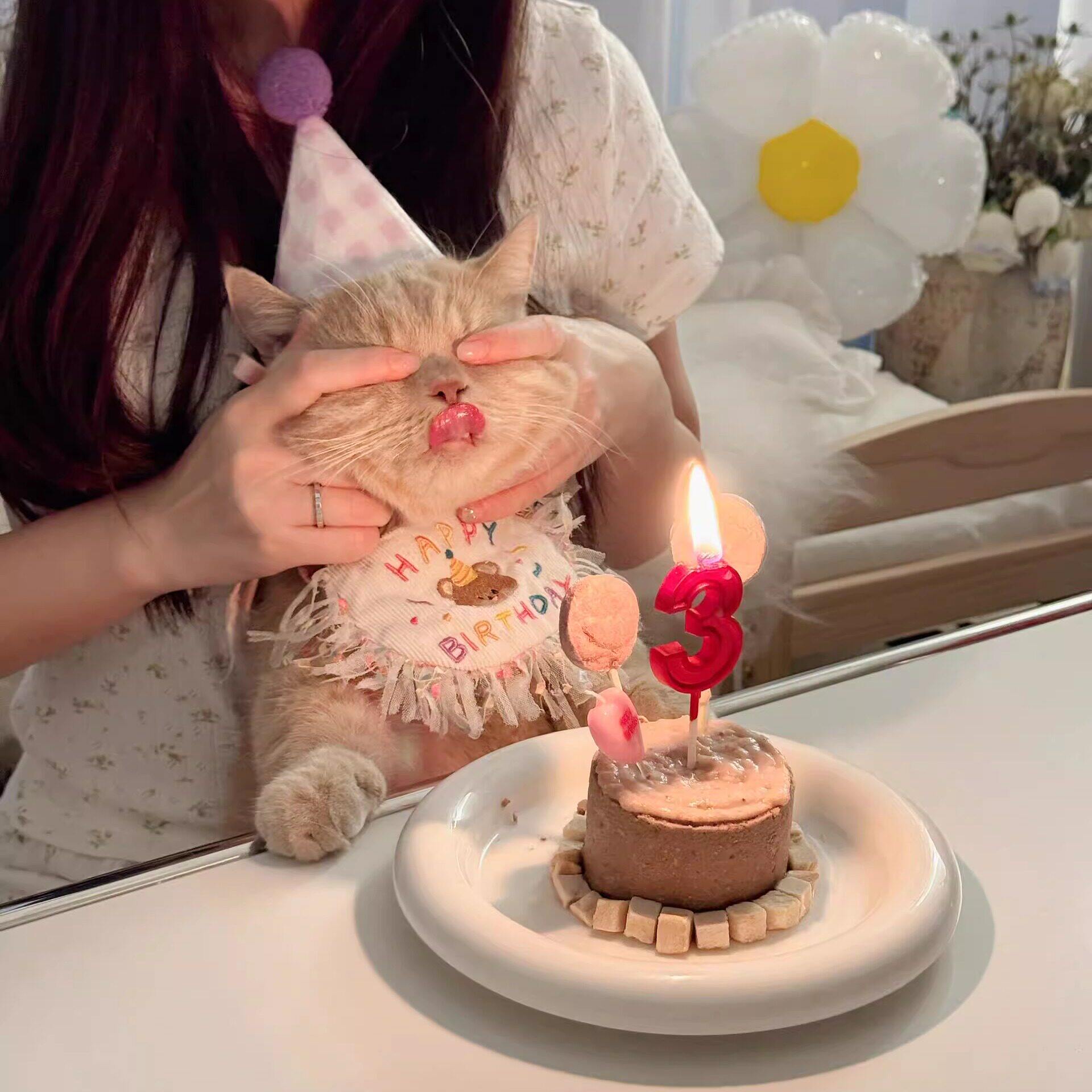 【咪咪生日记】猫咪生日装扮围兜小猫生日装饰宠物生日帽氛围布置