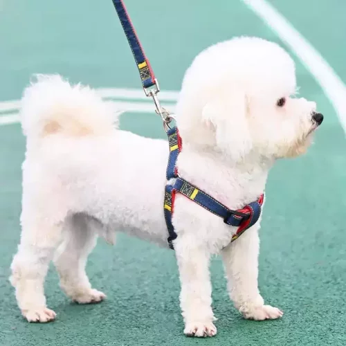 狗狗牵引绳大型中型小型犬