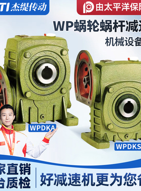 WPDKA/WPDKS60 70 80 100 120 135蜗轮蜗杆减速机变速齿轮箱波箱