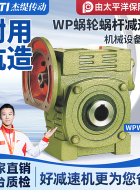 WPWDK70 80 100蜗轮蜗杆减速机铁壳立式带法兰减速齿轮箱变速器