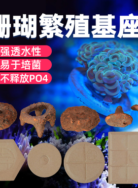 珊瑚基座海水缸SPS纽扣不伤珊瑚断支架托盘珊瑚底座繁殖基座水族