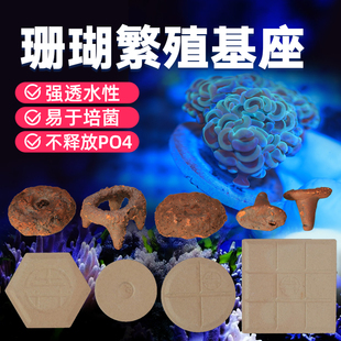 珊瑚基座海水缸SPS纽扣不伤珊瑚断支架托盘珊瑚底座繁殖基座水族
