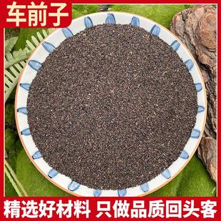 车前子正品 车前草籽 车前子茶 车前籽 非特级野生泡水
