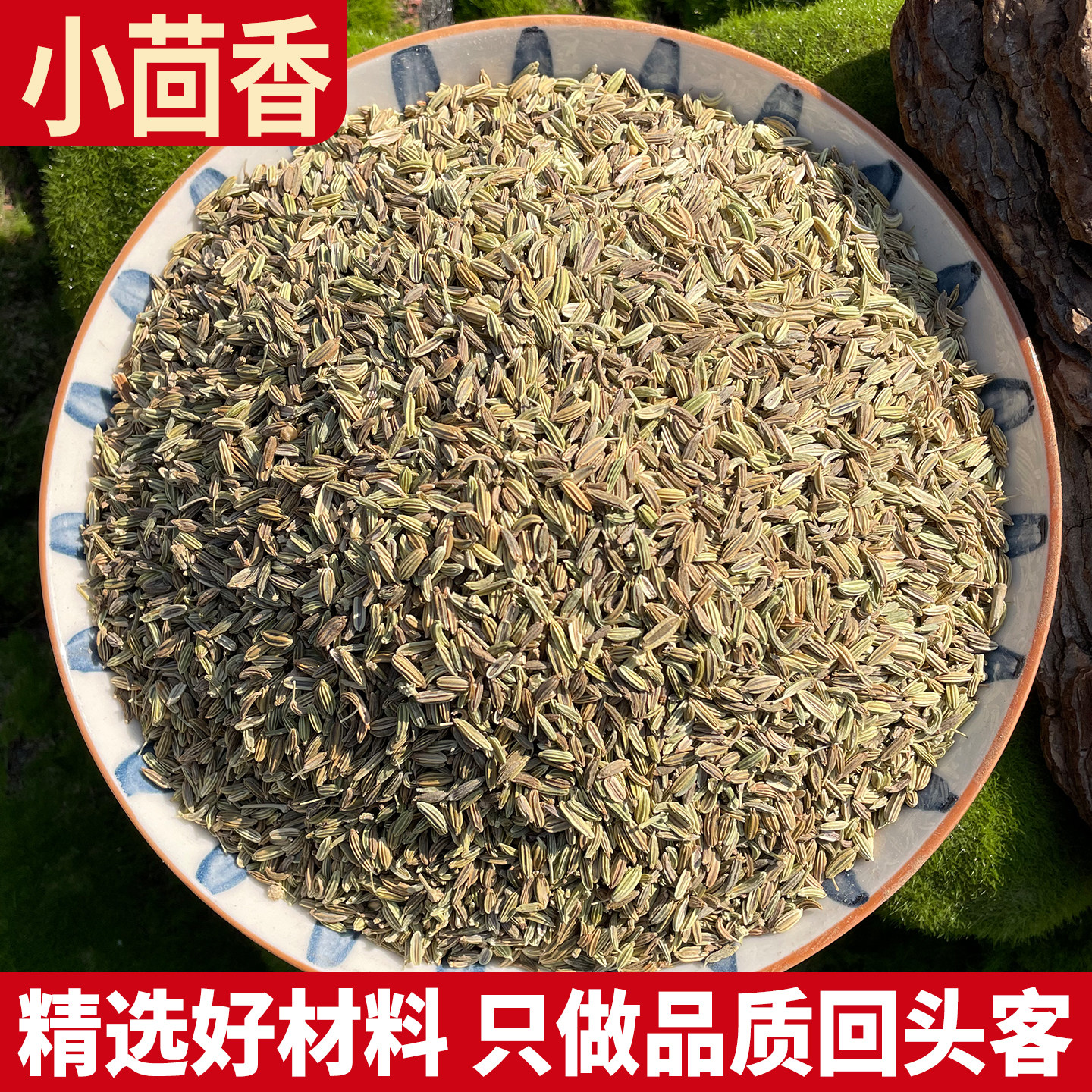正宗小茴香500g泡茶调料种子新鲜小回香纯粉非特级小荤香籽