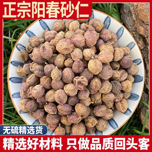 正宗阳春砂仁沙仁香砂仁粉砂仁果泡水砂仁茶毛砂仁非特级野生正品