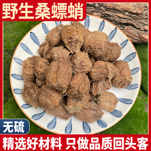 野生桑螵蛸正品桑膘销桑膘硝桑飘蛸螳螂子螳螂卵鞘巢刀螂子赖尿郎