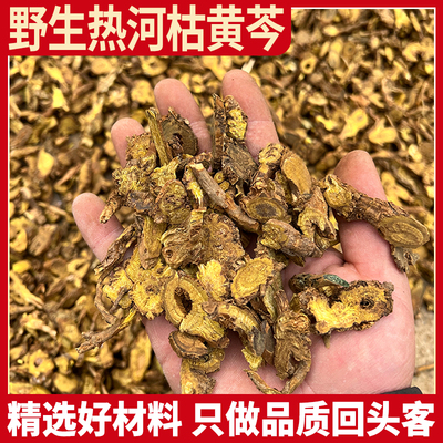 野生黄芩 枯芩选货 500g经方河北承德道地枝芩 糟皮枯心 热河黄芩