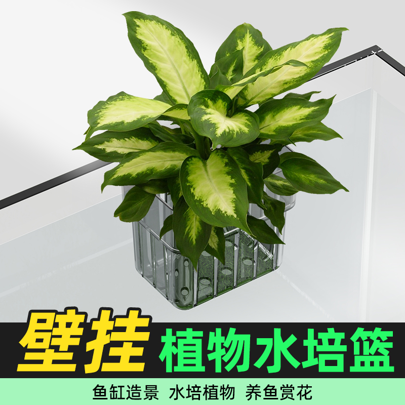 老渔匠鱼缸水培定植篮加厚可调节
