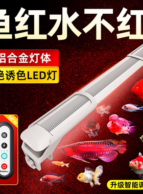老渔匠增艳鱼缸灯led灯防水三基色红龙增色灯鹦鹉金鱼锦鲤发色灯