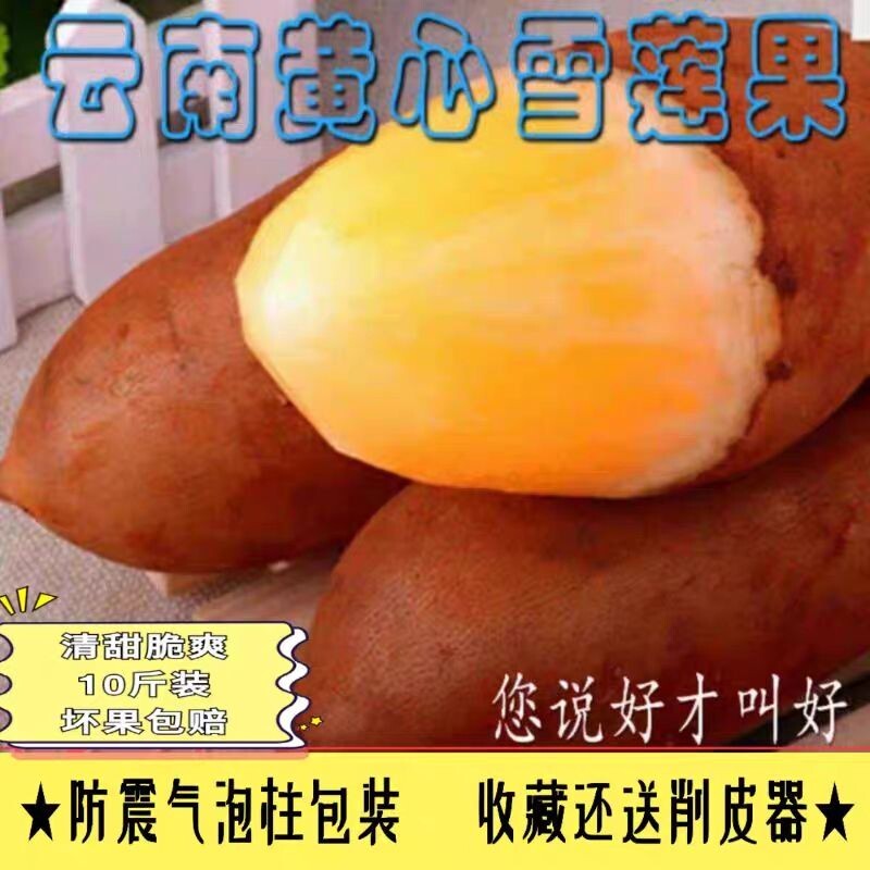 成煜云南特产天山雪莲果新鲜带箱雪莲果
