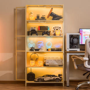 手办展示柜摆件家陈列柜家用防尘收藏储物柜收纳柜子产品置物货架