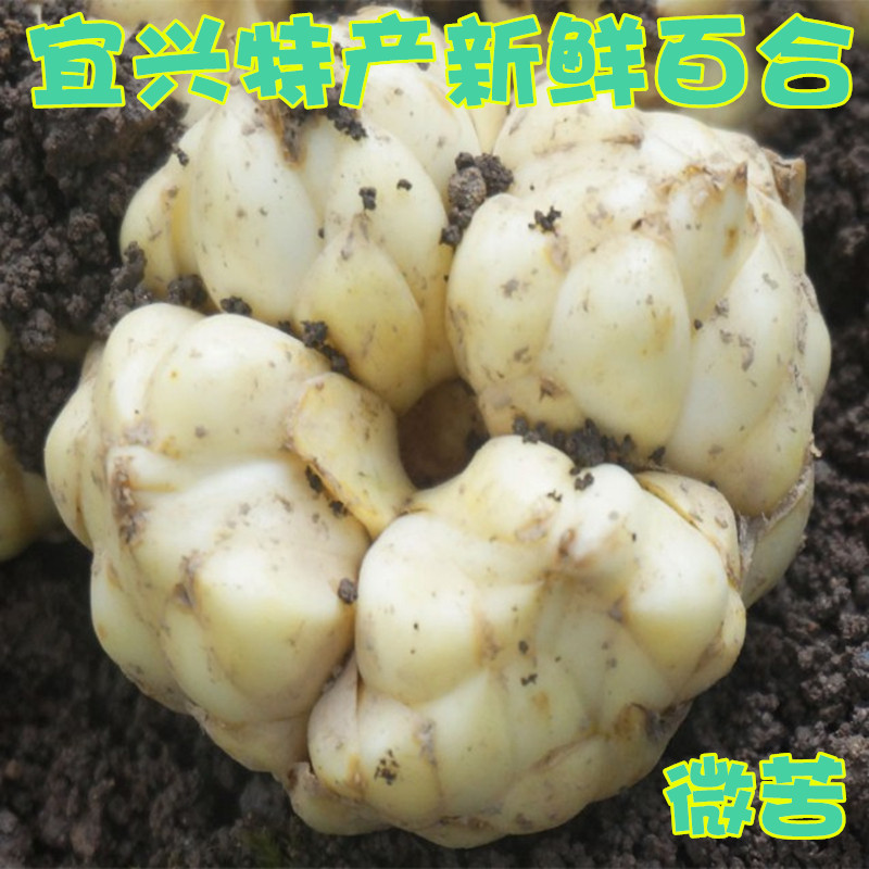 宜兴特产精品特大鲜百合