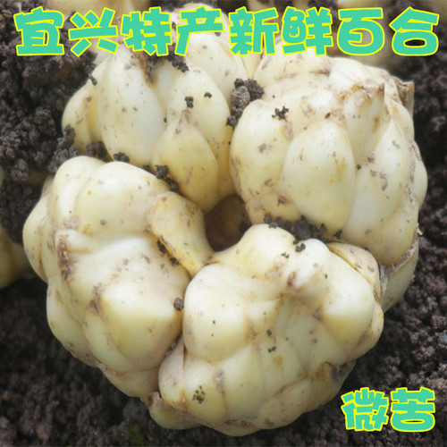 宜兴特产精品特大鲜百合