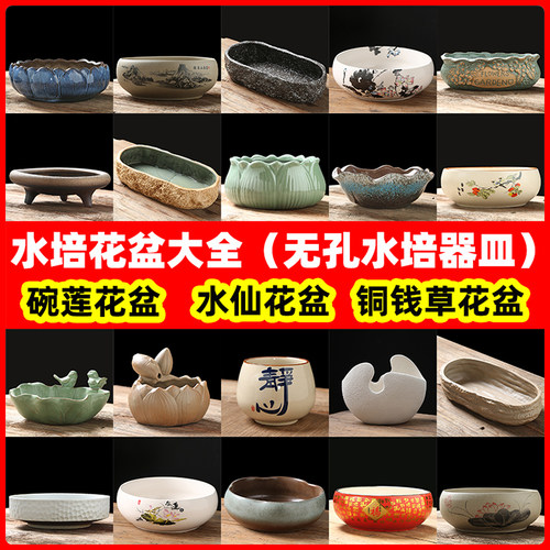 水仙花盆陶瓷大号家用水培器皿碗莲专用盆铜钱草一叶莲睡莲盆缸