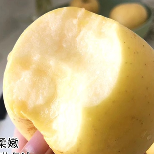 黄金奶油富士苹果山东烟台蓬莱4.5斤果脆甜多汁清甜爽口非黄元帅
