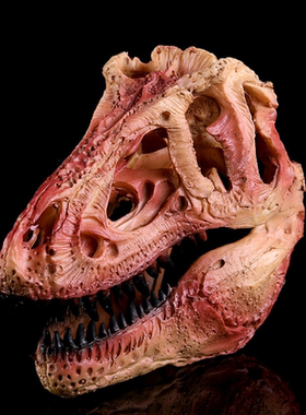 创意霸气侏罗纪霸王龙头骨树脂工艺品骷髅头个性摆件恐龙骨架道具