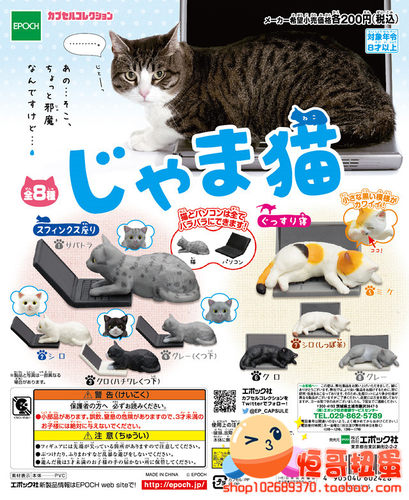 电脑上猫价格_电脑上猫图片- 星期三