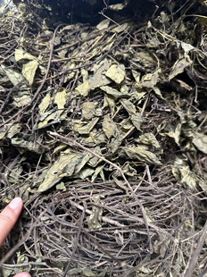 贵州干货三叶青金线吊葫芦三叶青野生三叶青正宗三叶青藤