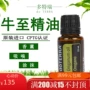 Dotray Tây Ban Nha tinh dầu oregano Origanum tinh dầu duy nhất doTERRA Trang web chính thức của Mỹ chính hãng - Tinh dầu điều trị tinh dầu hoa anh đào