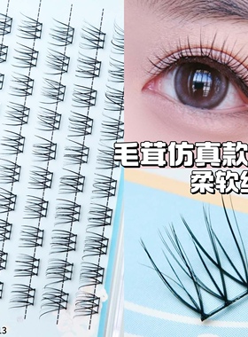 毛绒仿真假睫毛日系自然黑梗单簇分段式柔软细腻仿嫁接魅丽悦F113