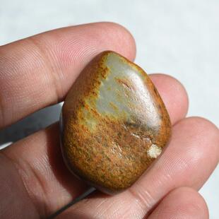 特色一口气黄褐老虎皮和田玉亮色沙枣青籽料挂件吊坠原石