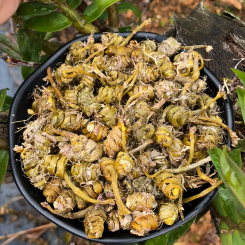 龙头凤尾铁皮石斛 霍山枫斗50-500克 胶质多胶泡水煲汤料养生食材