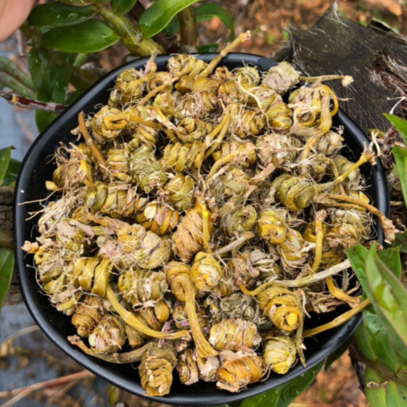 龙头凤尾铁皮石斛霍山枫斗50-500克胶质多胶养生泡水煲汤药材食材 传统滋补营养品 石斛/枫斗 原图主图