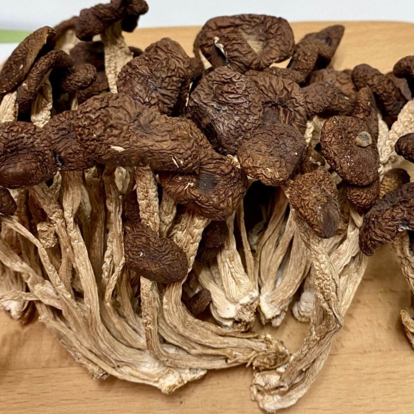 精选未开伞茶树菇干货 煲汤药膳养生汤料 杨柳菌柳树茶薪菌菇无硫,传统滋补营养品,药膳养生汤料,淘宝优惠券,粉丝福利购,淘宝优惠卷