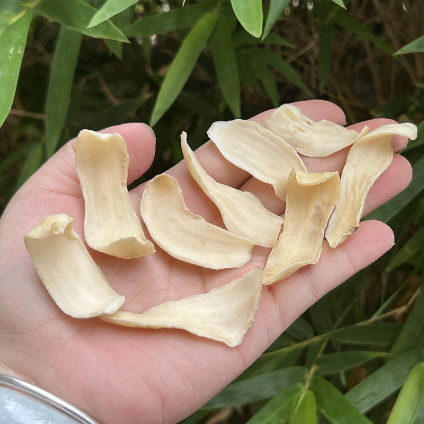 龙牙大片百合干250克 药膳养生汤料干货抽芯片粉糯无硫香甜百合片