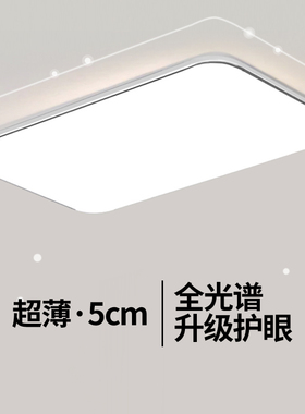 极简客厅灯吸顶灯主灯现代简约大气超薄护眼长方形办公室灯具套餐