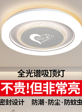 led吸顶灯饰客厅大灯主卧室吊灯具大全阳台现代简约大气广东中山