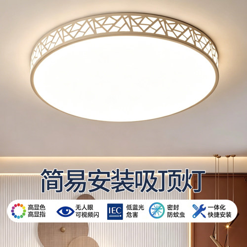 2026新款简约现代大气吸顶灯
