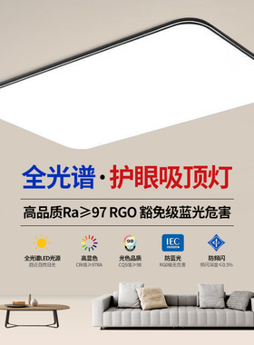 客厅吸顶灯2025新款超薄LED现代简约大气房间卧室大厅灯中山灯具