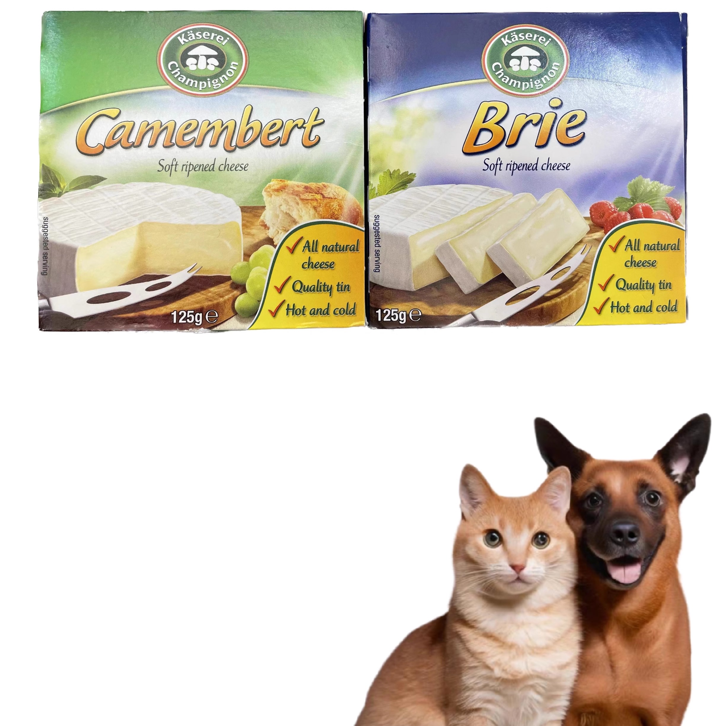 宠物奶酪黄油奶制品DMX金文必布里芝士美毛增肥饲料铁盒奶酪