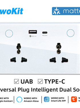 147万能规双墙壁插座 Matter协议Homekit直连 13A/16A带电量统计