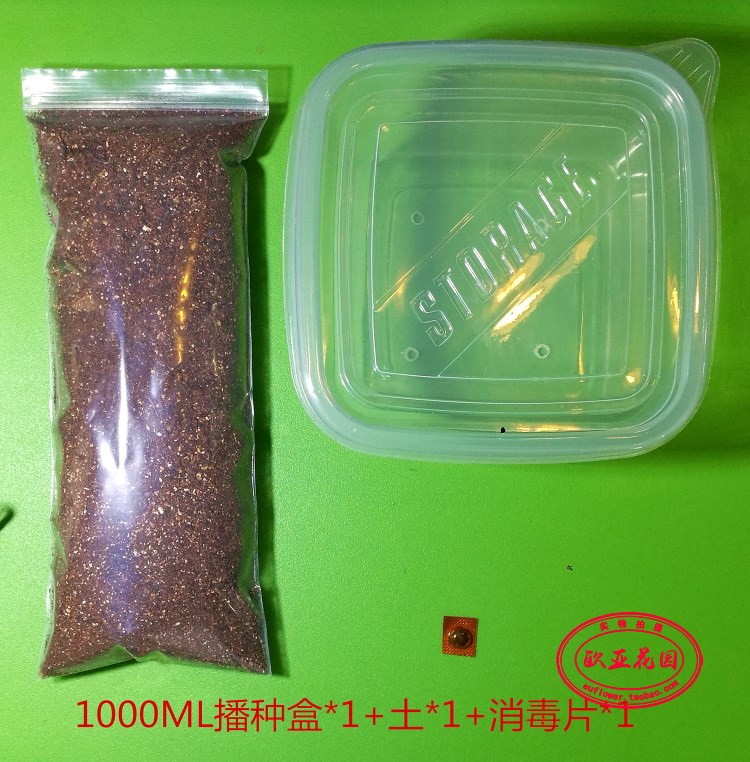 多肉仙人球屁股花番杏播种用具 播种盆播种土套装组合 土 盆包邮