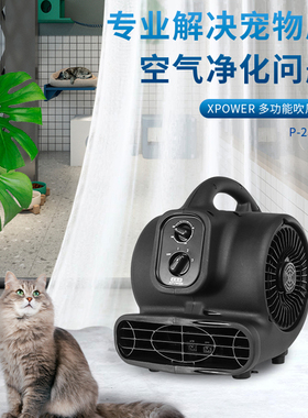 XPOWER宠物香风机香珠宠物店除臭除异味香氛净化负离子猫咪吹干机