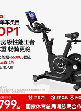 麦瑞克动感单车黑曜骑士家用磁控静音运动器材商用健身房专用室内