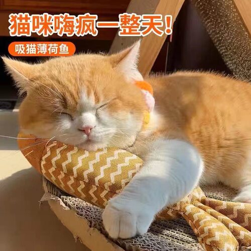 新款猫薄荷仿真鱼波浪纹麻布鱼自嗨解闷逗猫猫玩具宠物用品