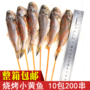 鲜冷冻广东 包邮 网红小黄鱼腌制烧烤串串 小黄鱼烧烤半成品200串