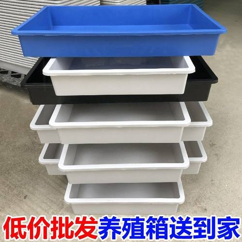 天星平口20食品箱全新材料周转箱