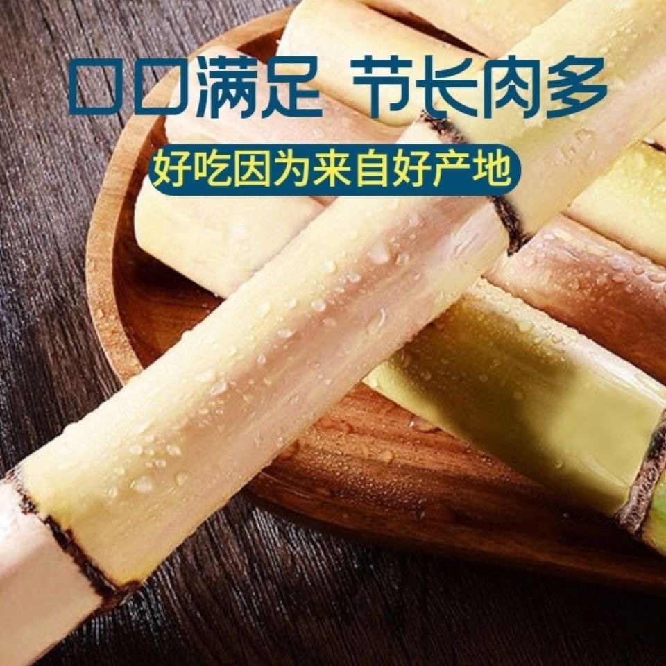 正宗广西木格白玉蔗 精选中段 现砍现发 新鲜实惠 可视频选购爆甜