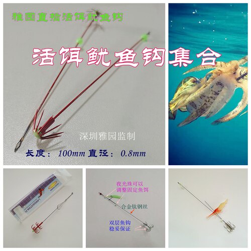雅园活饵鱿鱼钩记忆钛吹桶全层杀