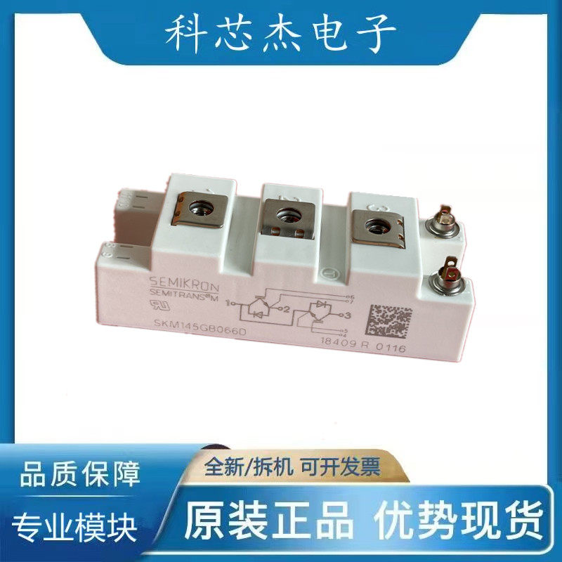 SKM145GB066D SKM195GB066D SKM145GB123D SKM145GB124D全新现货