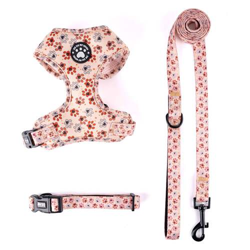 Adjustable Printed Dog Harness户外遛狗可调节印花牵引胸背带