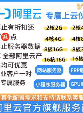 阿里云ecs服务器gpu大模型ai数据库ERP代理商服务商新购续费折扣