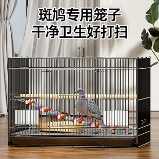 鸟笼子斑鸠笼专用鸟笼养殖笼养斑鸠活鸟家养的笼子大号家用繁殖窝