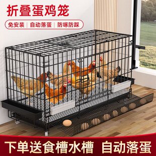 鸡笼子大号养鸡笼子家用室内滚蛋鸡笼自动出蛋母鸡笼鸭笼鹅笼清仓