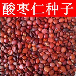新疆酸枣仁种子 酸枣种子 净籽 南酸枣仁  酸枣核 枣子种子枣树籽